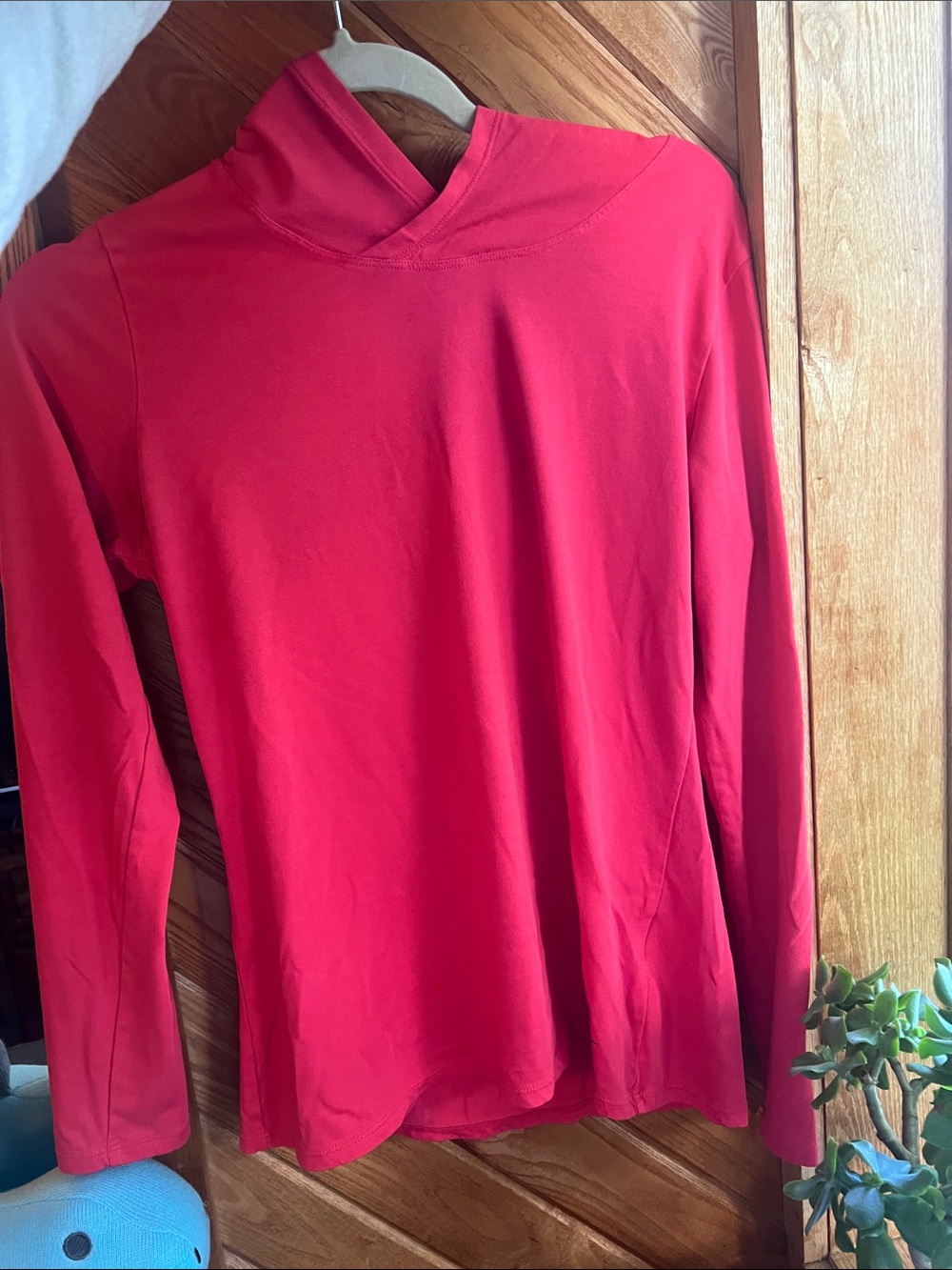 Nike Pink Long Sleeve Pullover with Hood